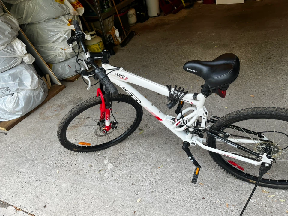 Static DS XC Mountain Bike