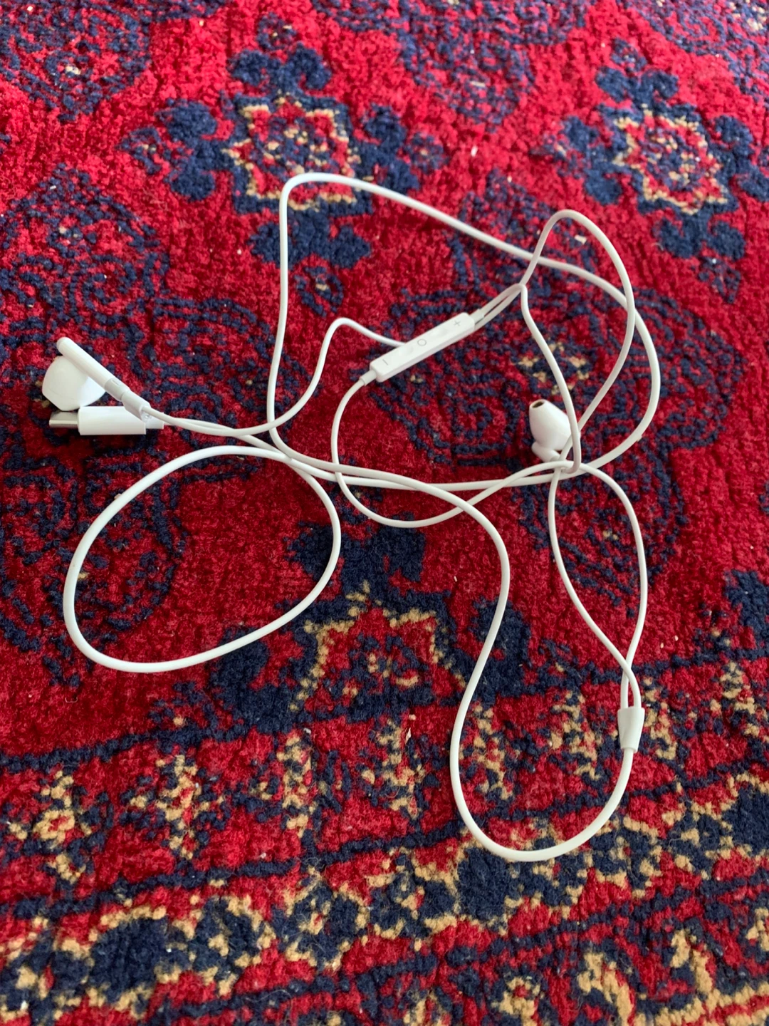 White USB-C Earbuds - photo 3
