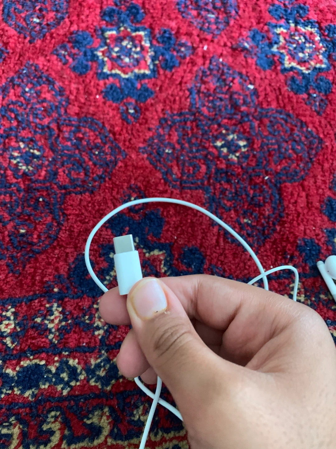 White USB-C Earbuds - photo 4