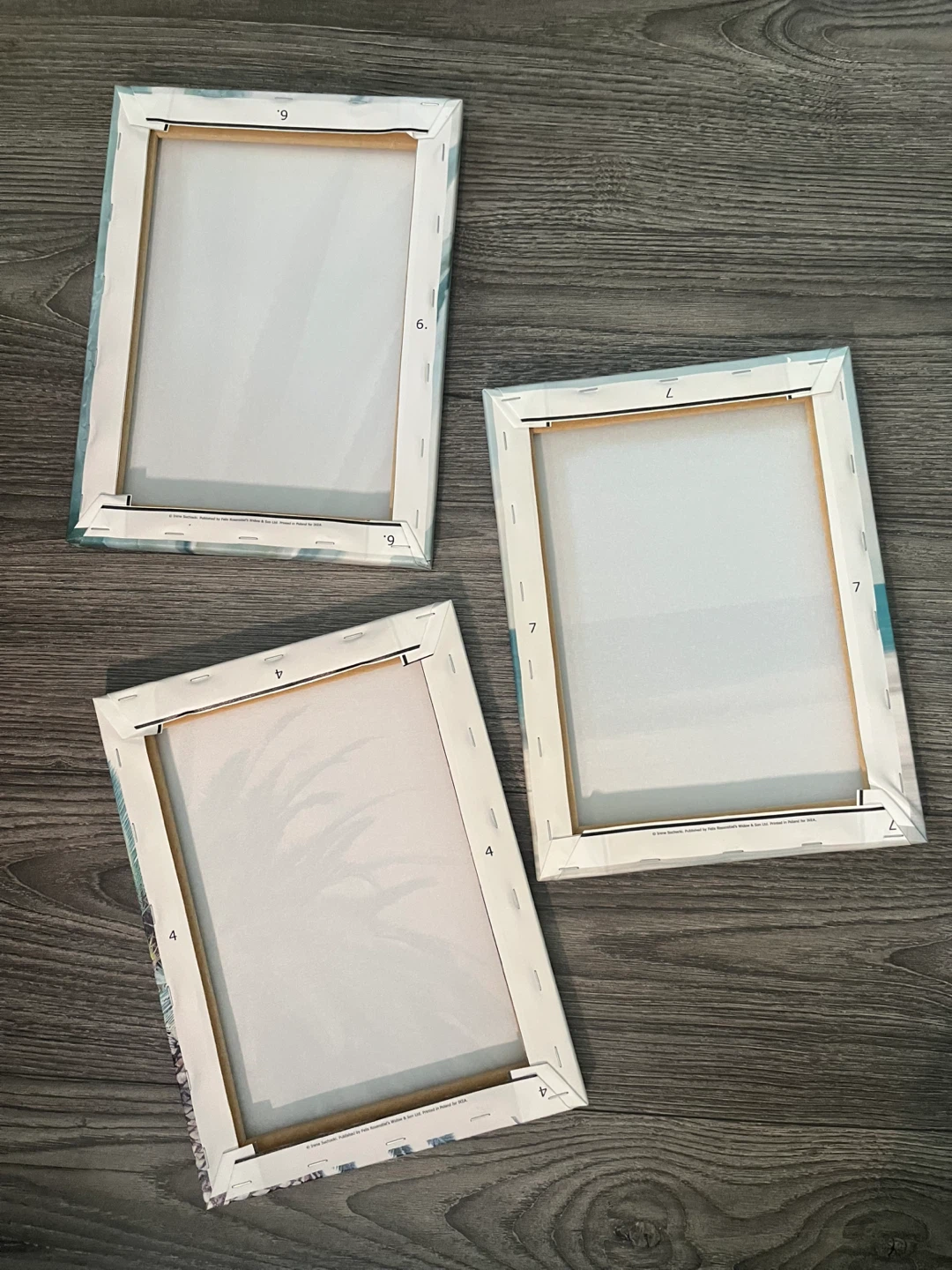 Canvases - photo 3