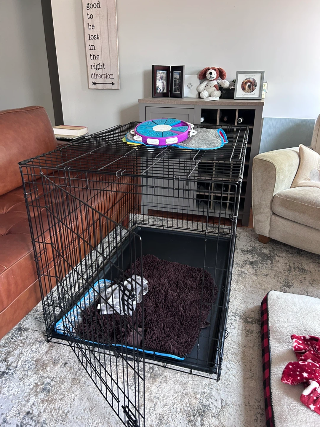 XL Dog kennel - photo 4