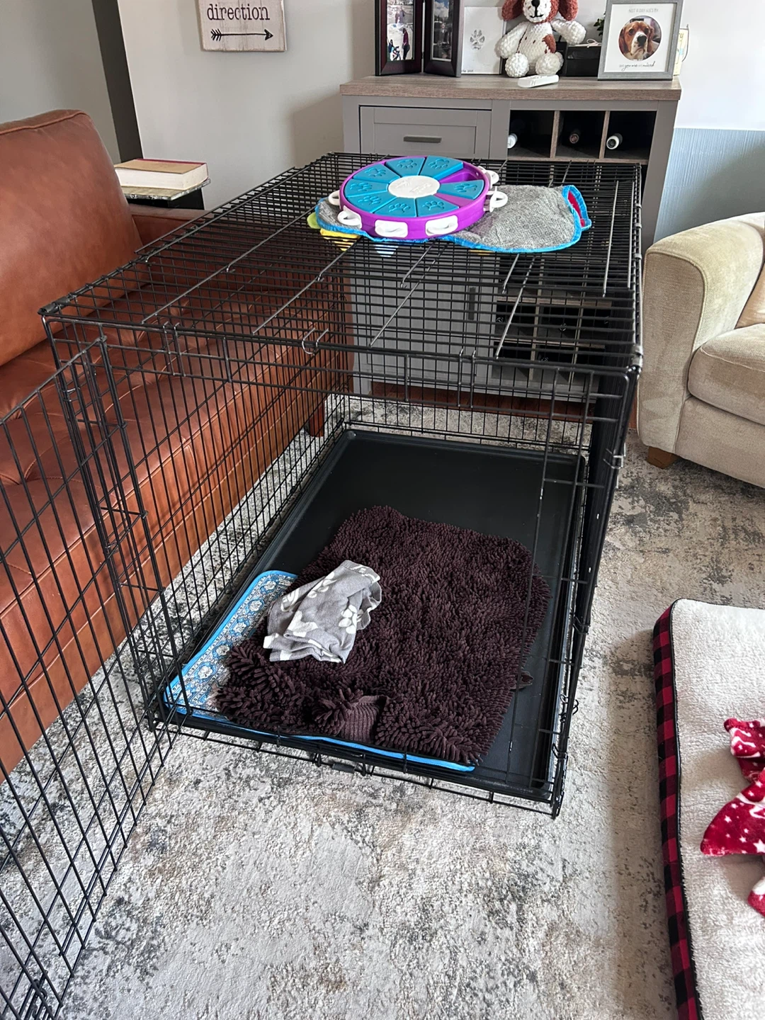 XL Dog kennel - photo 3
