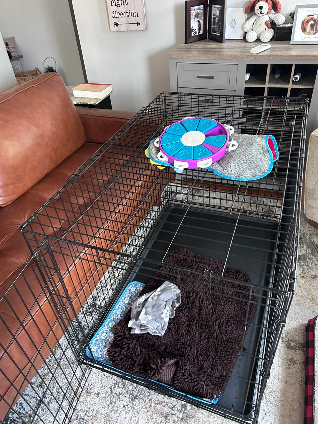 XL Dog kennel