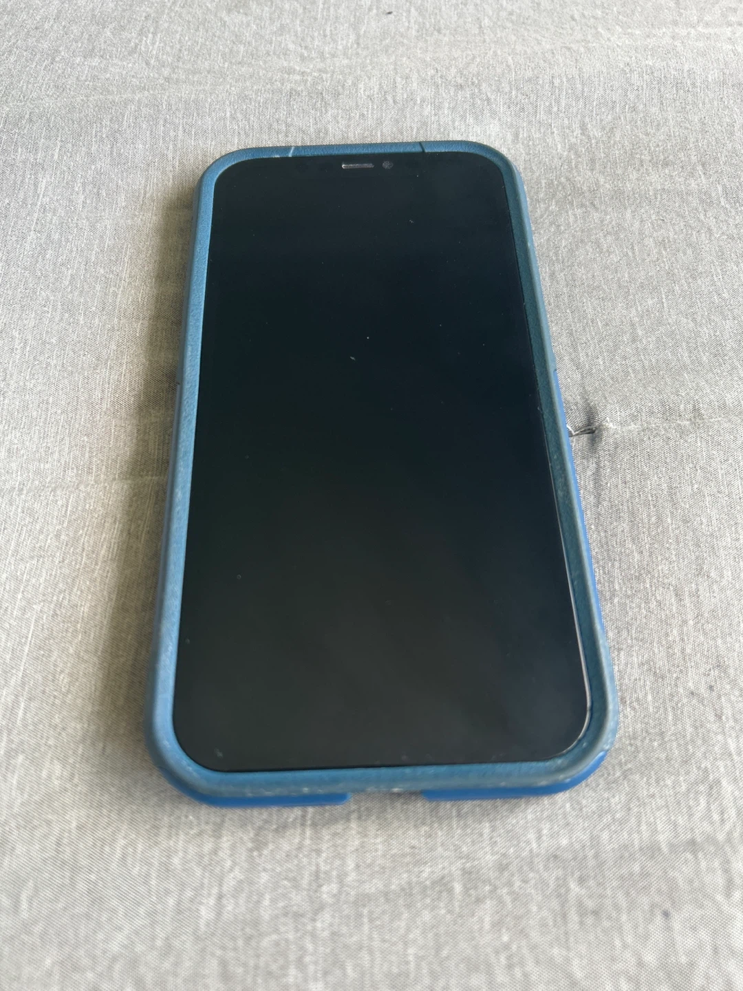 Apple iPhone 12 Pro - Pacific Blue - photo 3