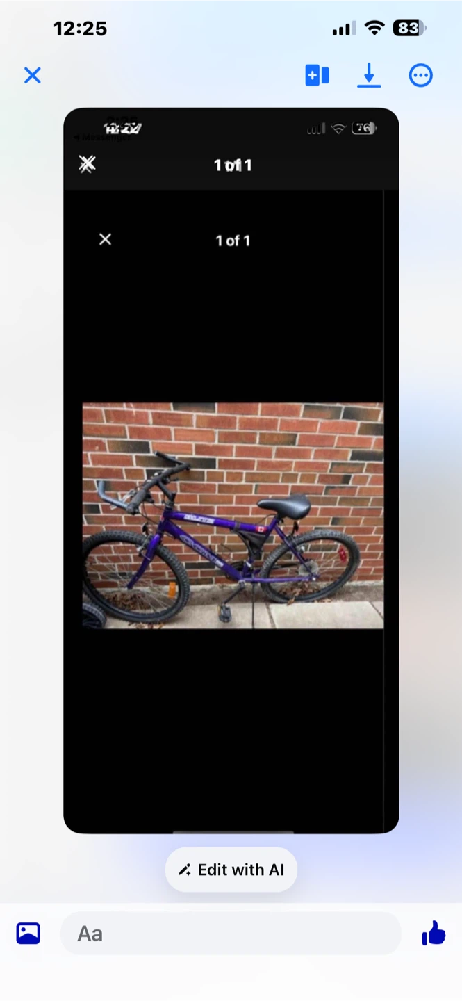 Purple Mountain Bike