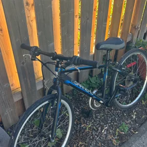 Garneau bike
