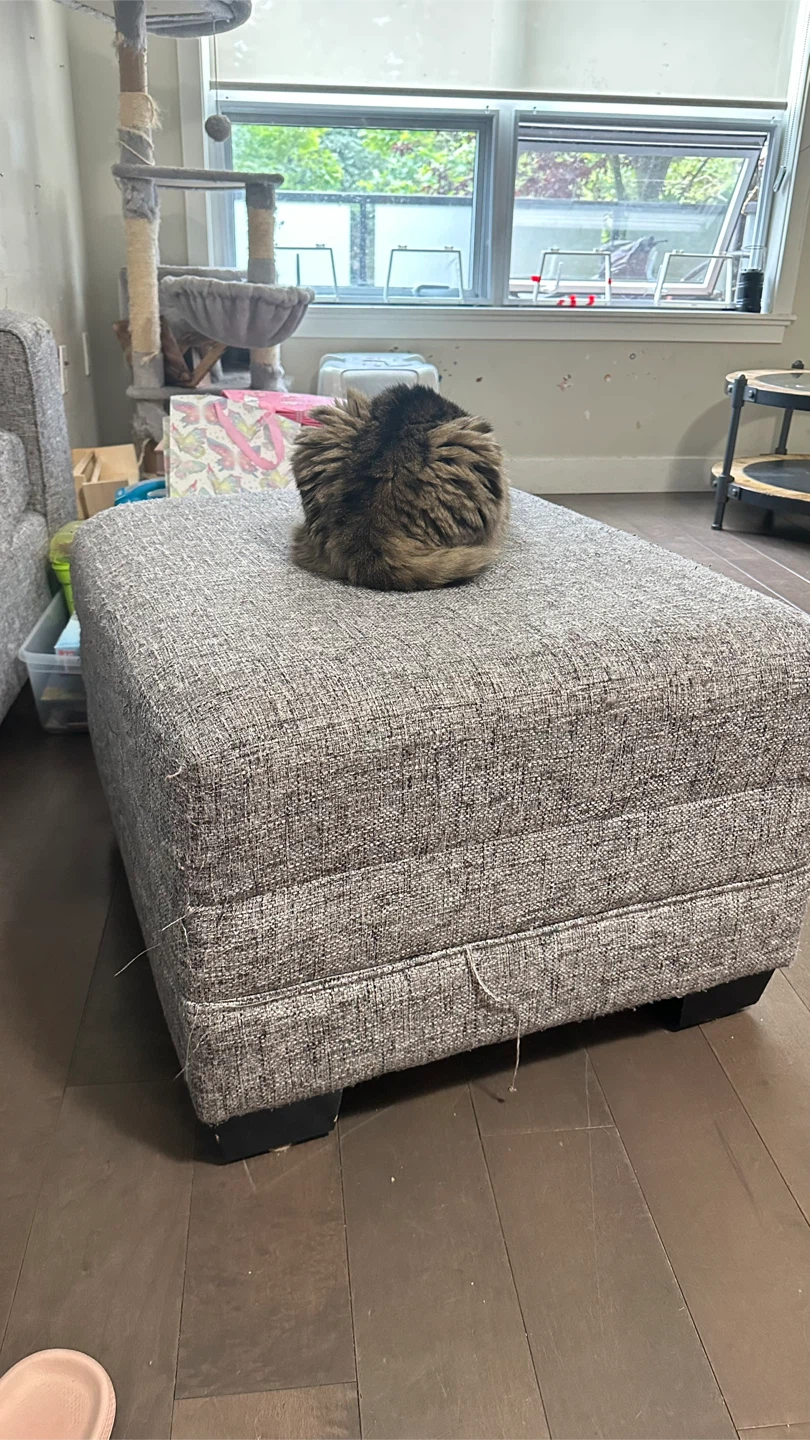 Grey Fabric Ottoman (Excluding that cat) - photo 2