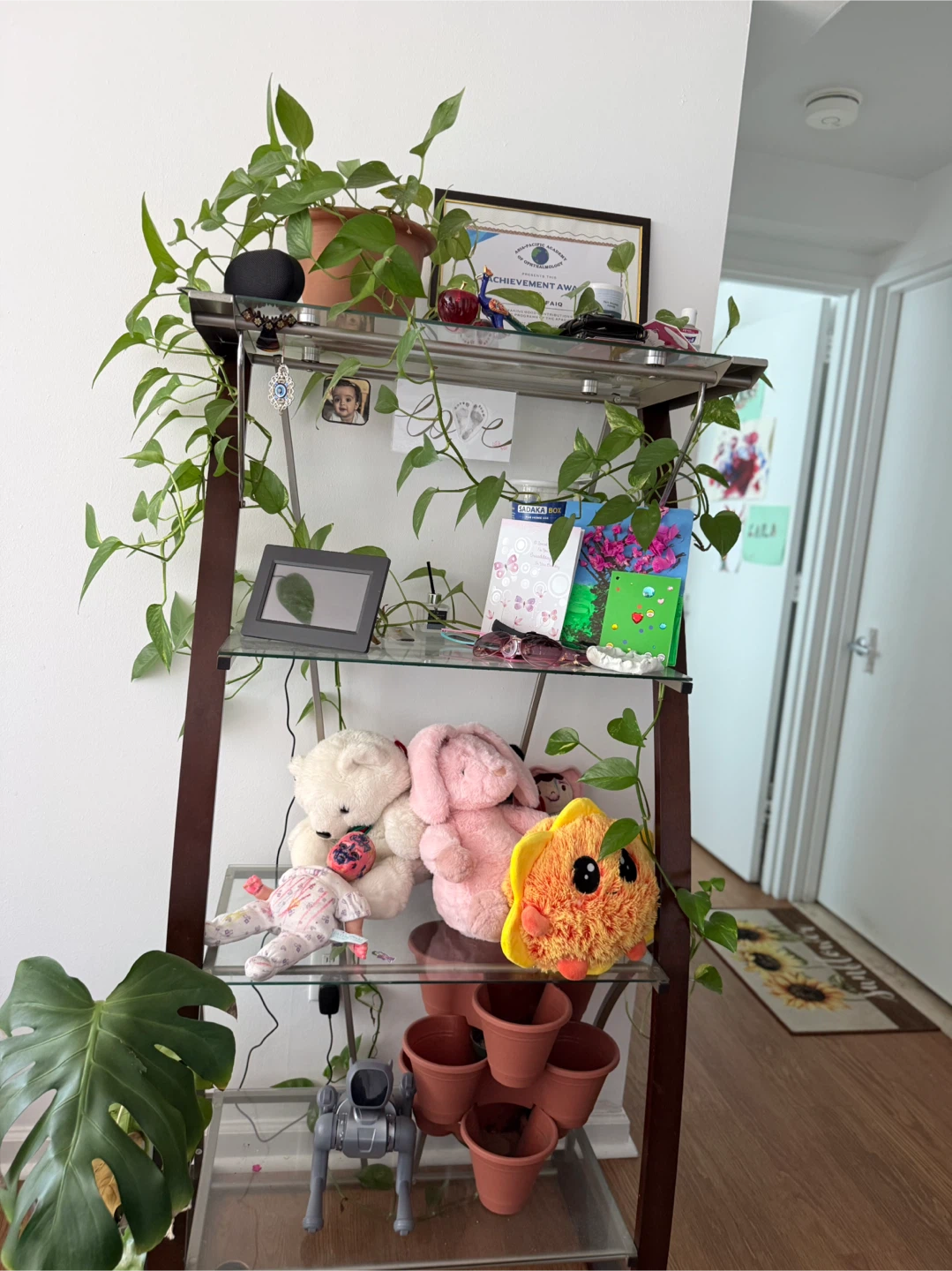 Selling Glass/ wooden shelving unit - photo 2