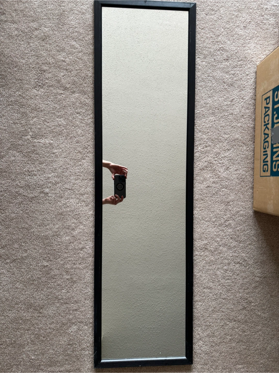 Tall Black Framed Mirror