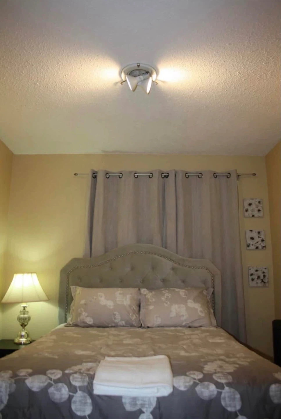 Queen bed complete