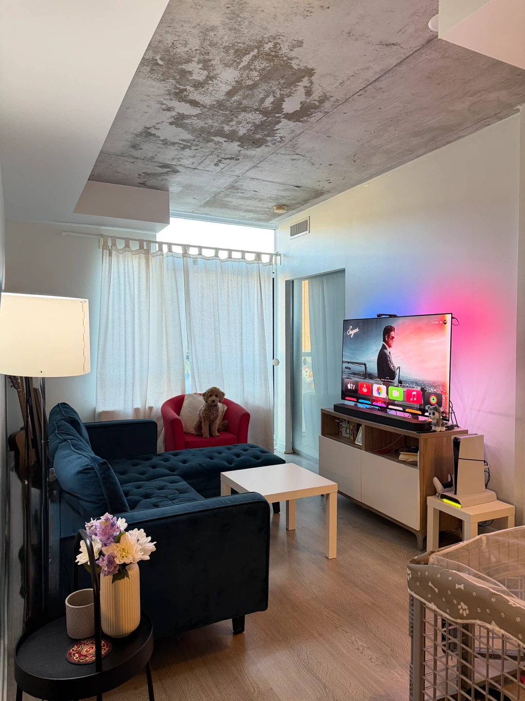 Private Room for Rent – Queen & Dufferin - photo 2