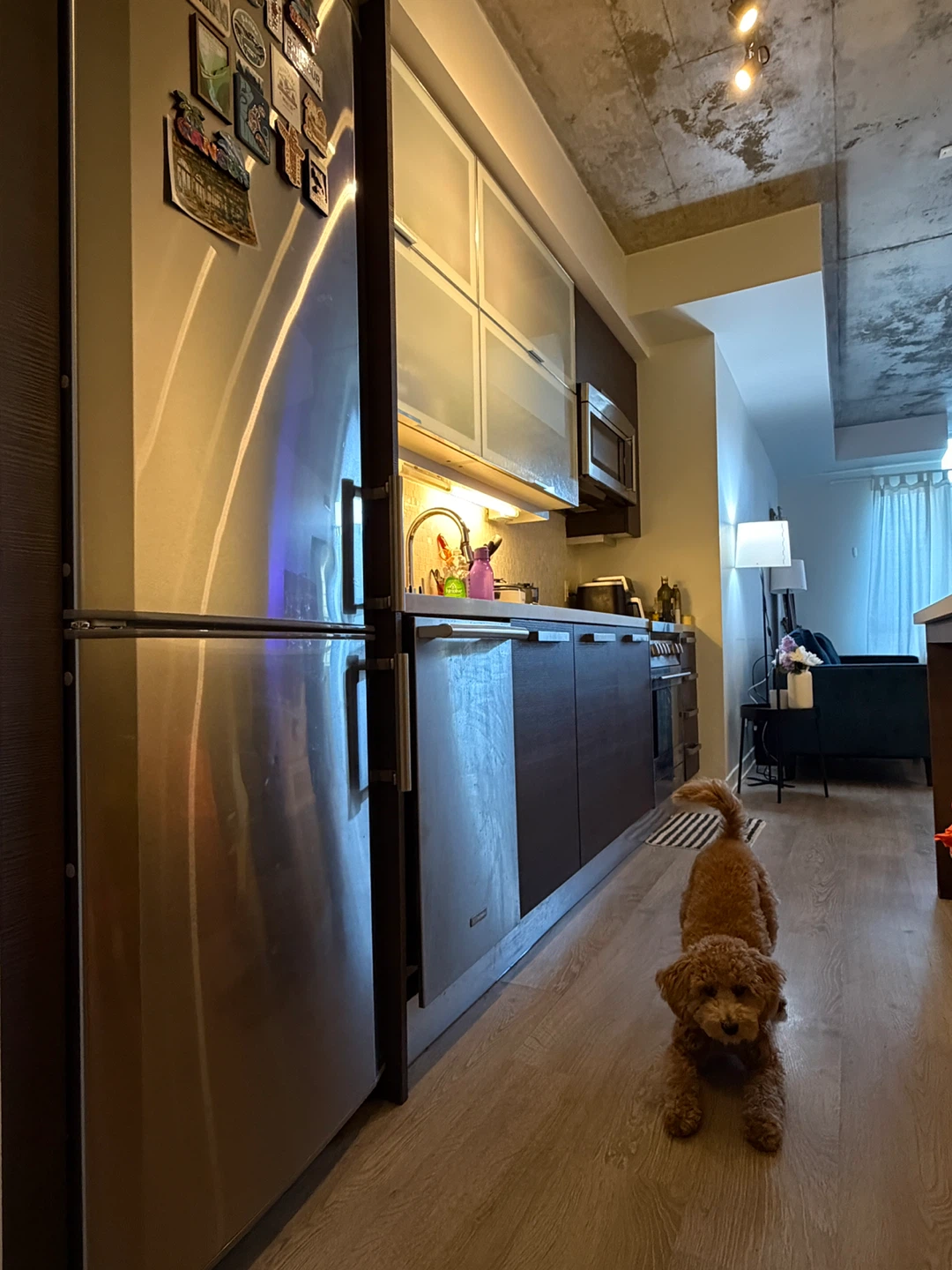 Private Room for Rent – Queen & Dufferin - photo 4