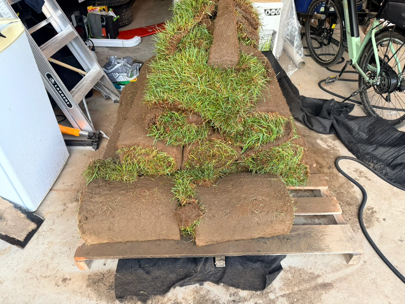 Brand New Sod – Delivered Yesterday! 🌱 - photo 2