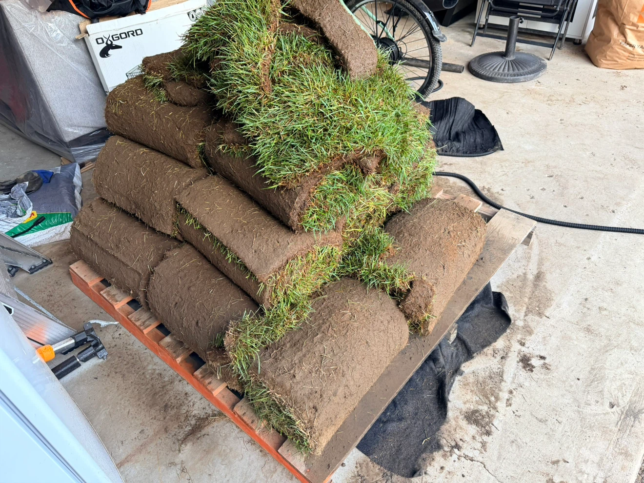 Brand New Sod – Delivered Yesterday! 🌱 - photo 3