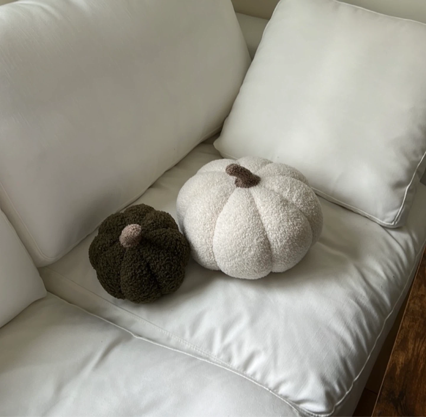 Plush Pumpkin Pillows - photo 4