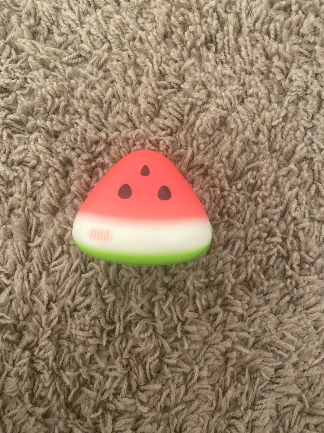 Watermelon Squishy Toy