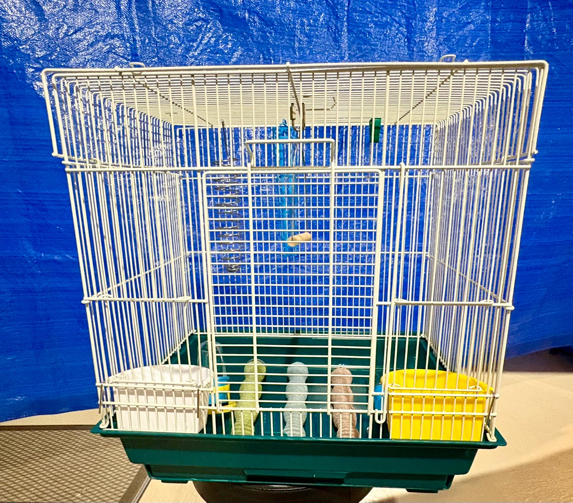 Mid-Sized Bird Cage with Accessories