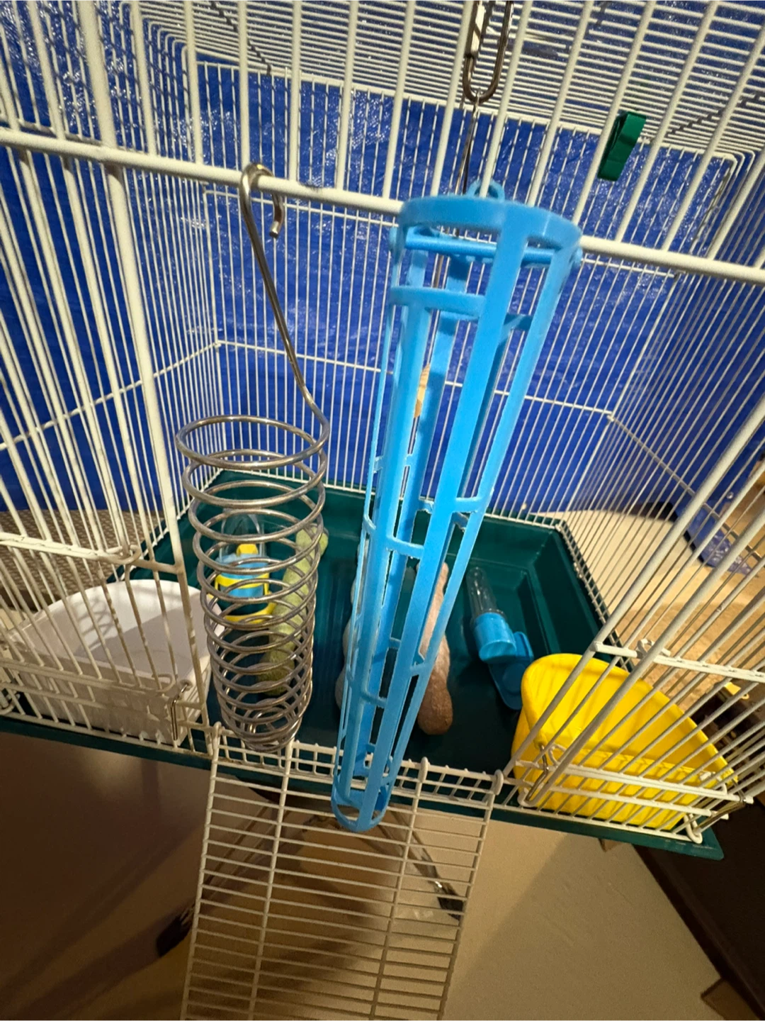 Mid-Sized Bird Cage with Accessories - photo 4