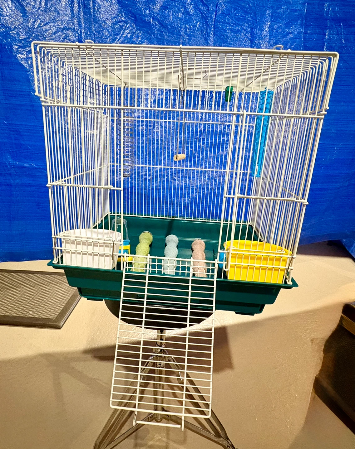 Mid-Sized Bird Cage with Accessories - photo 5