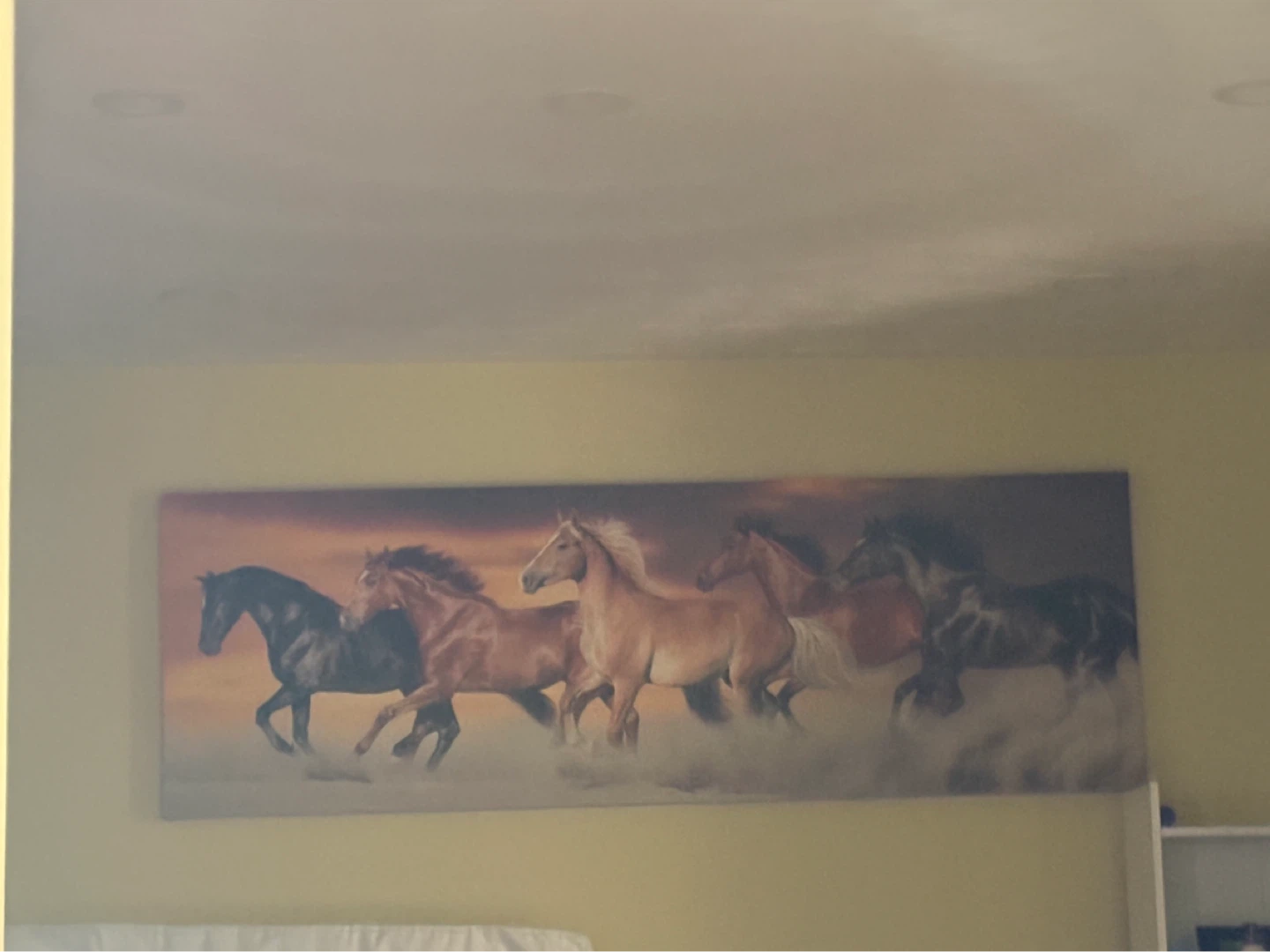 Wall Art Canvas Print of Running Horses