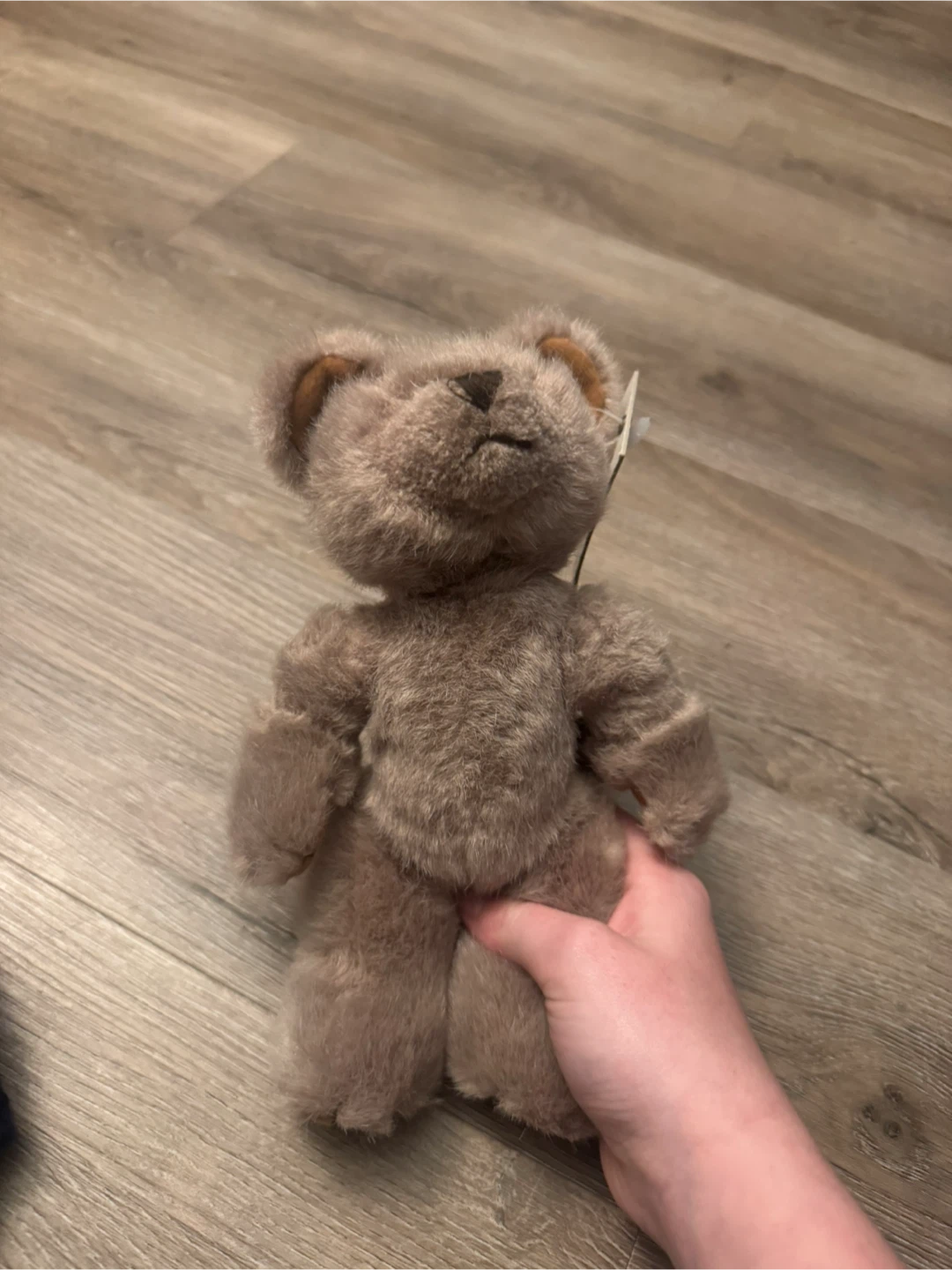 Boyds Bears TC Collection Teddy Bear - photo 2