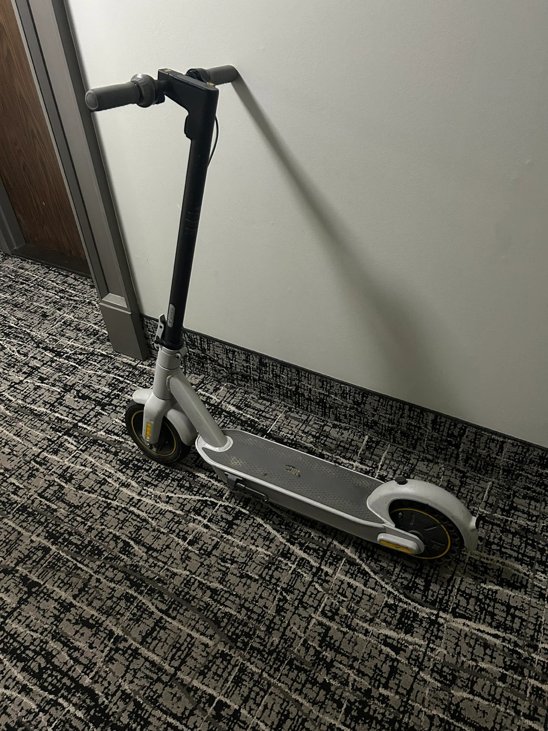 Ninebot Electric Scooter
