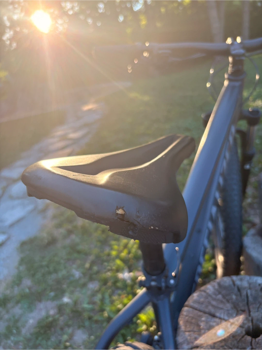 Specialized RockHopper Sport Medium - photo 5