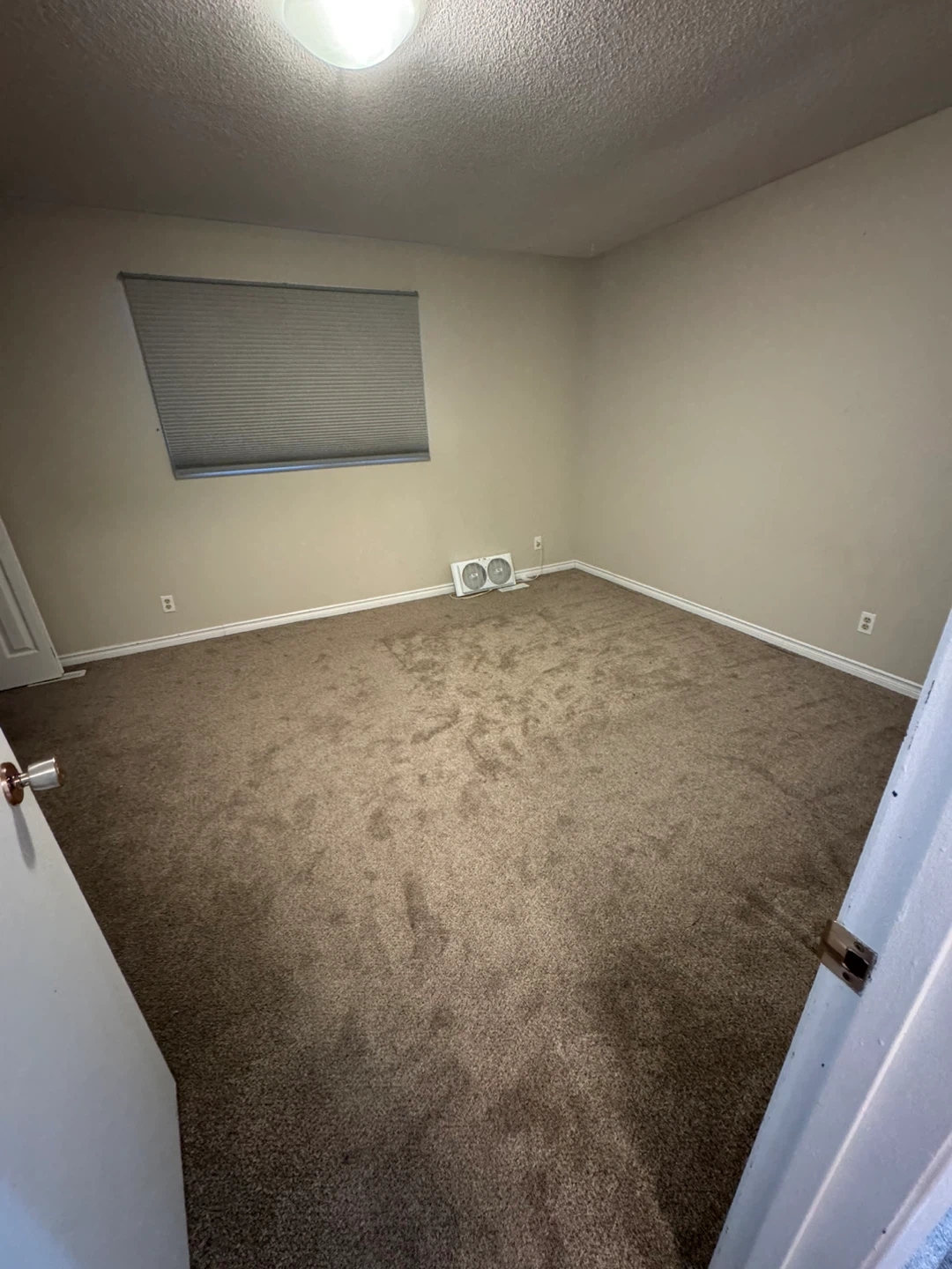 Rental - photo 4