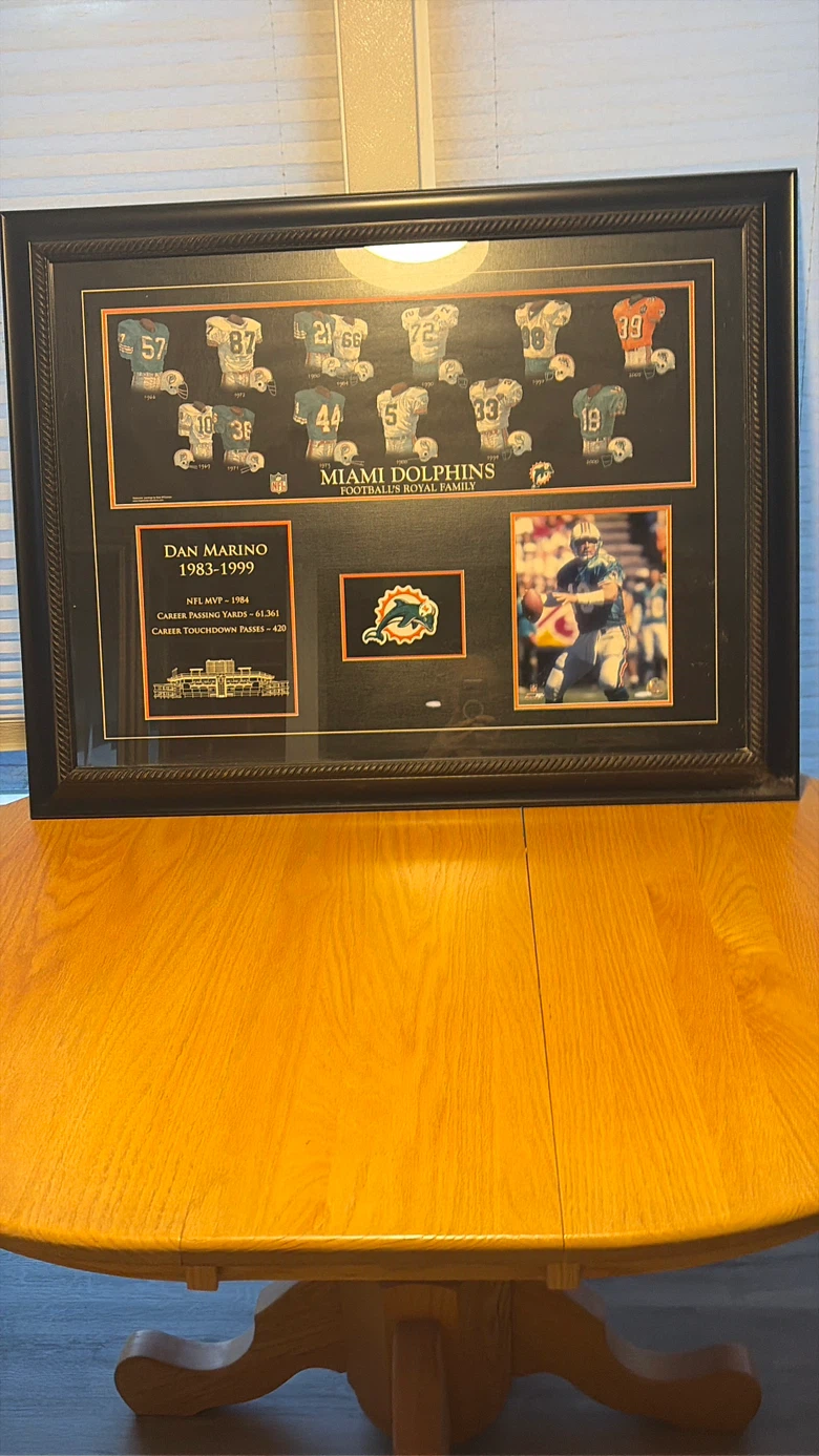 Dan Marino Miami Dolphins Football Memorabilia Framed Display