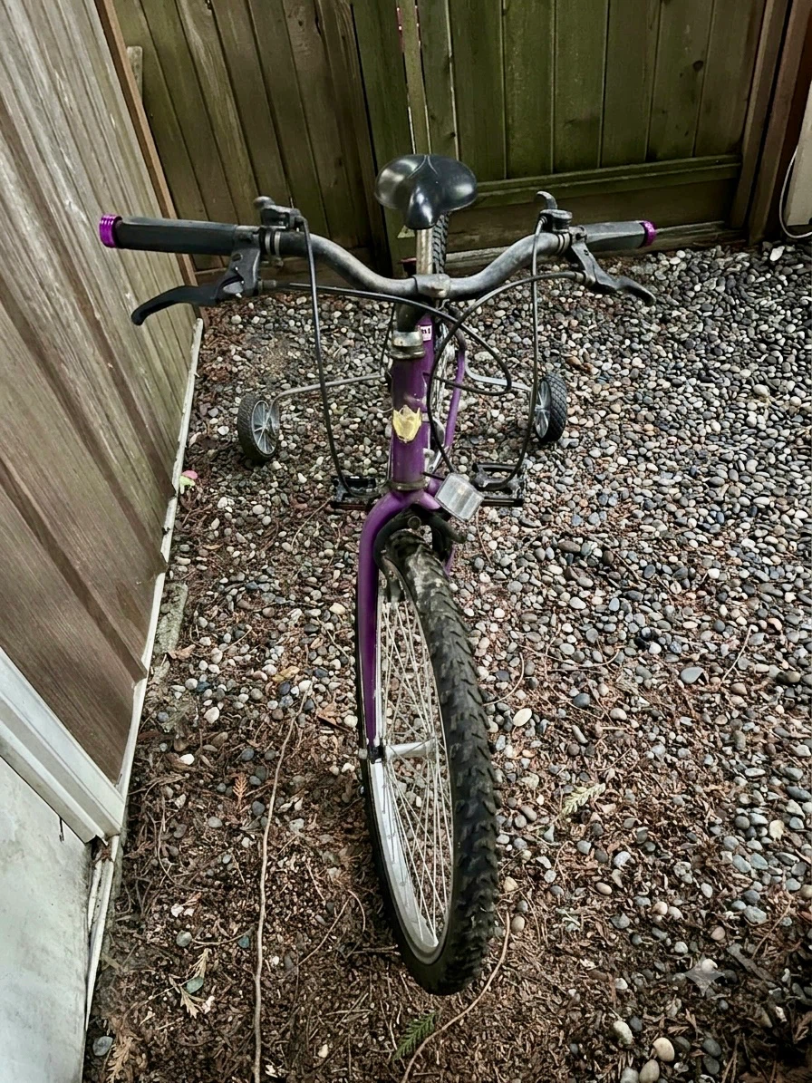 Purple Falcon Tween Kids' Bicycle with Training Wheels - photo 2