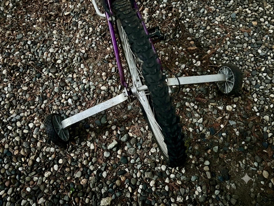 Purple Falcon Tween Kids' Bicycle with Training Wheels - photo 3