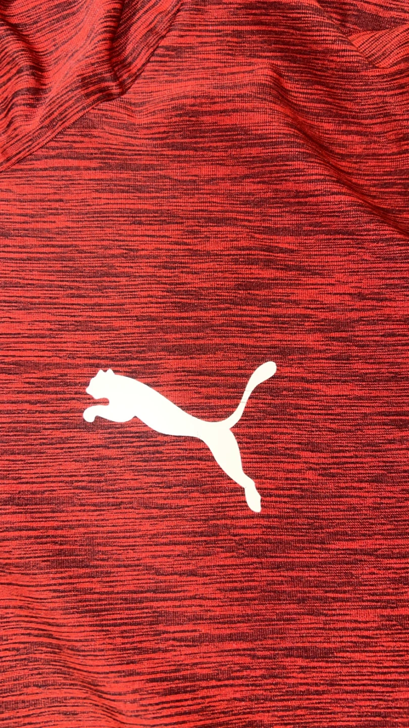Puma Youth Hoodie Red Size L (10-12) - photo 2
