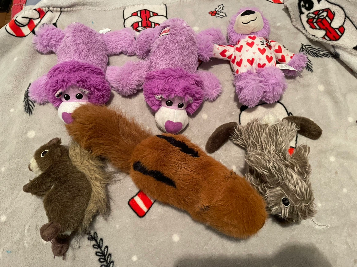 Dog Toys Lot