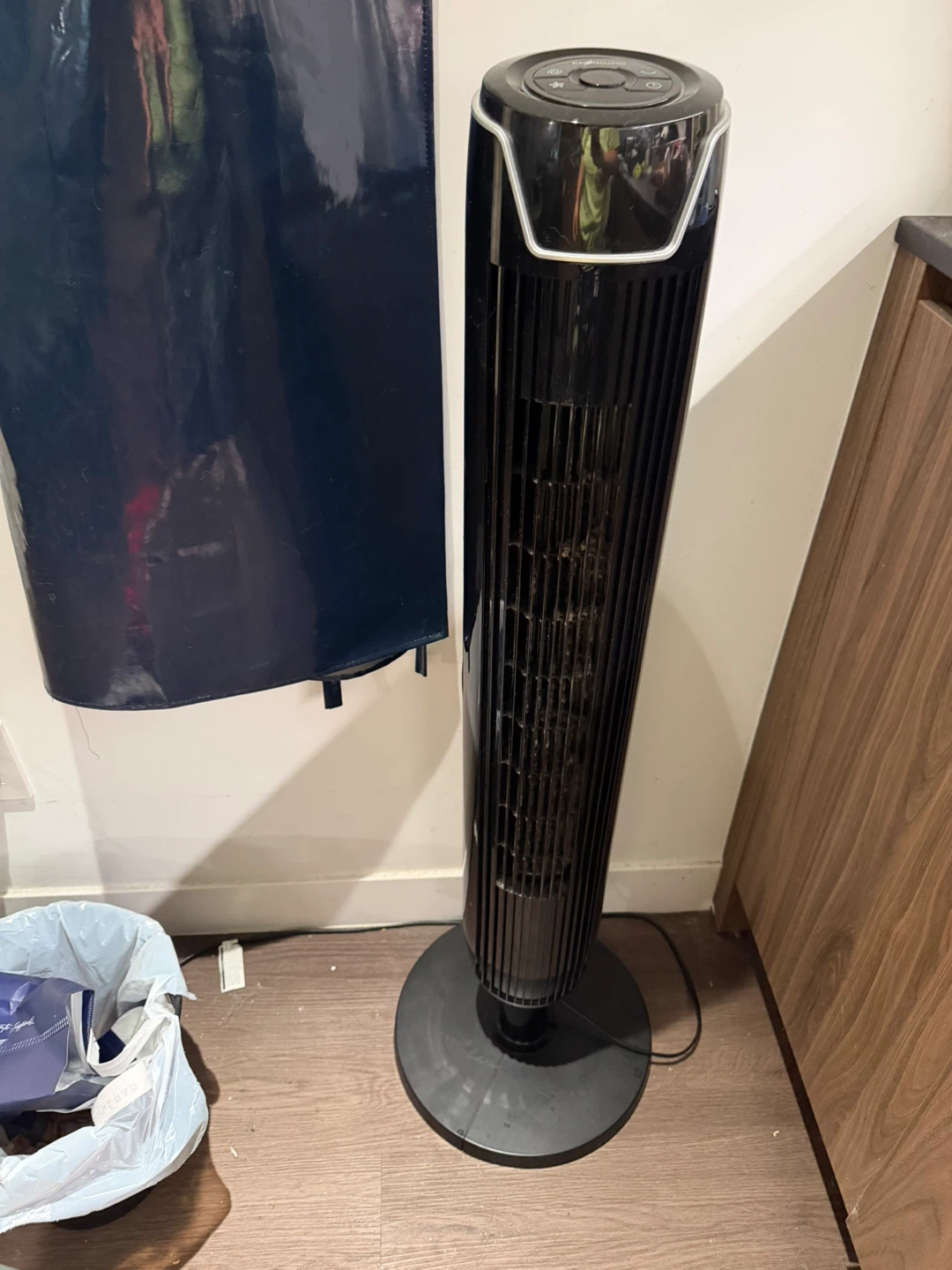 Electric fan