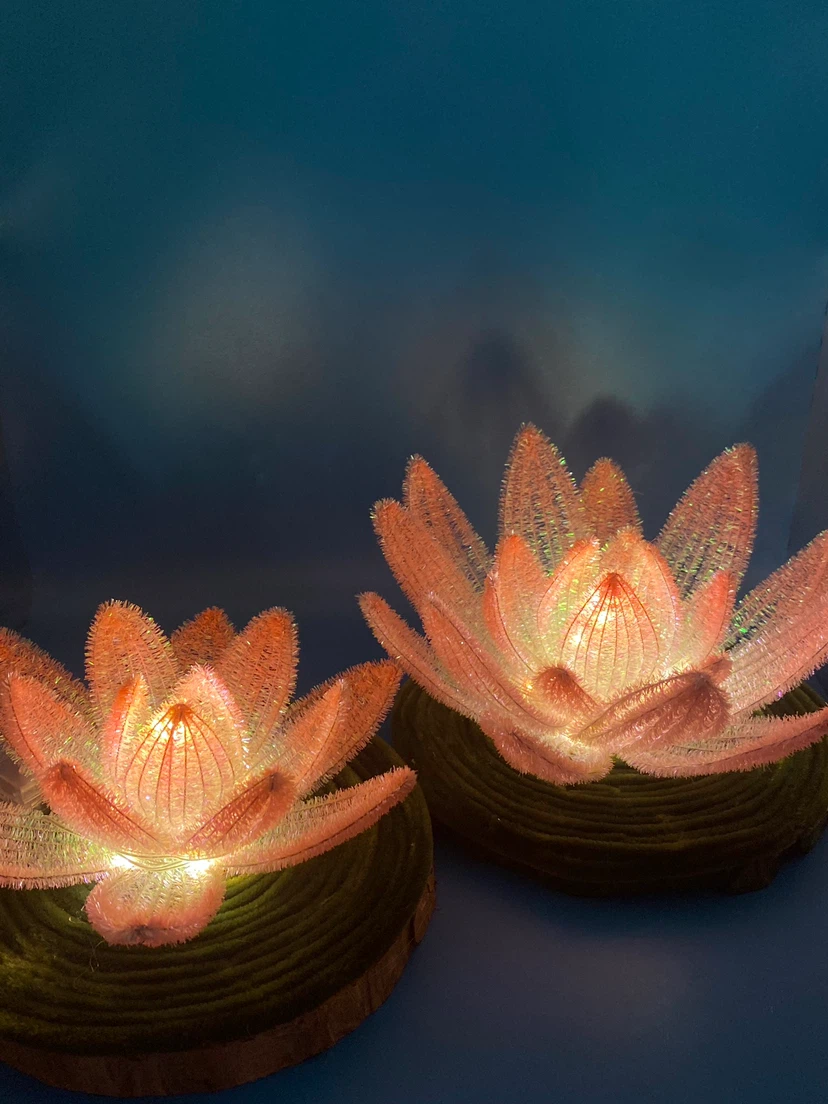 Pipe cleaner LOTUS