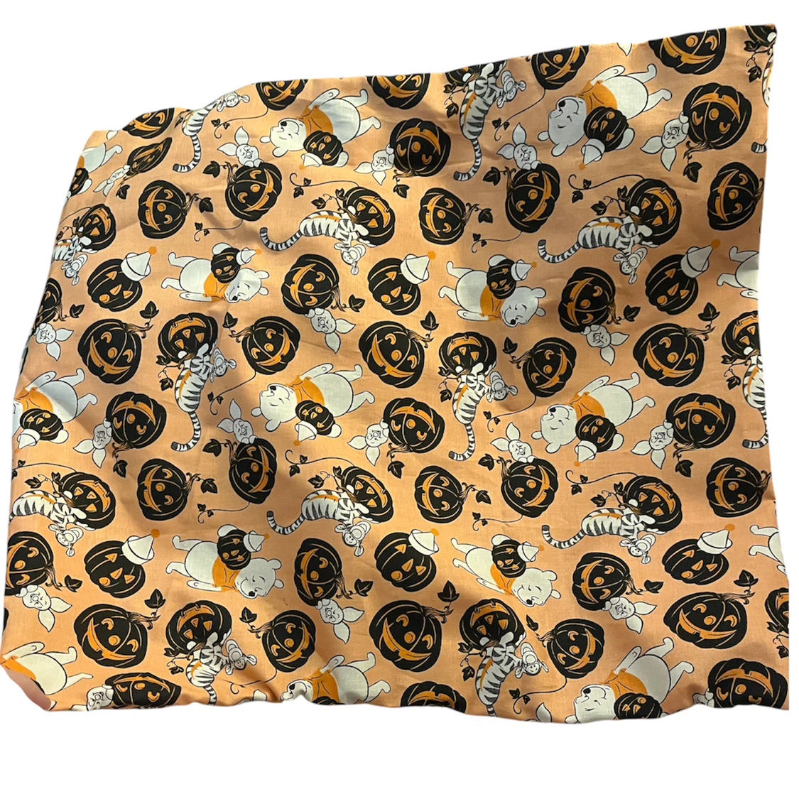 Winnie the Pooh Halloween Pillow Case