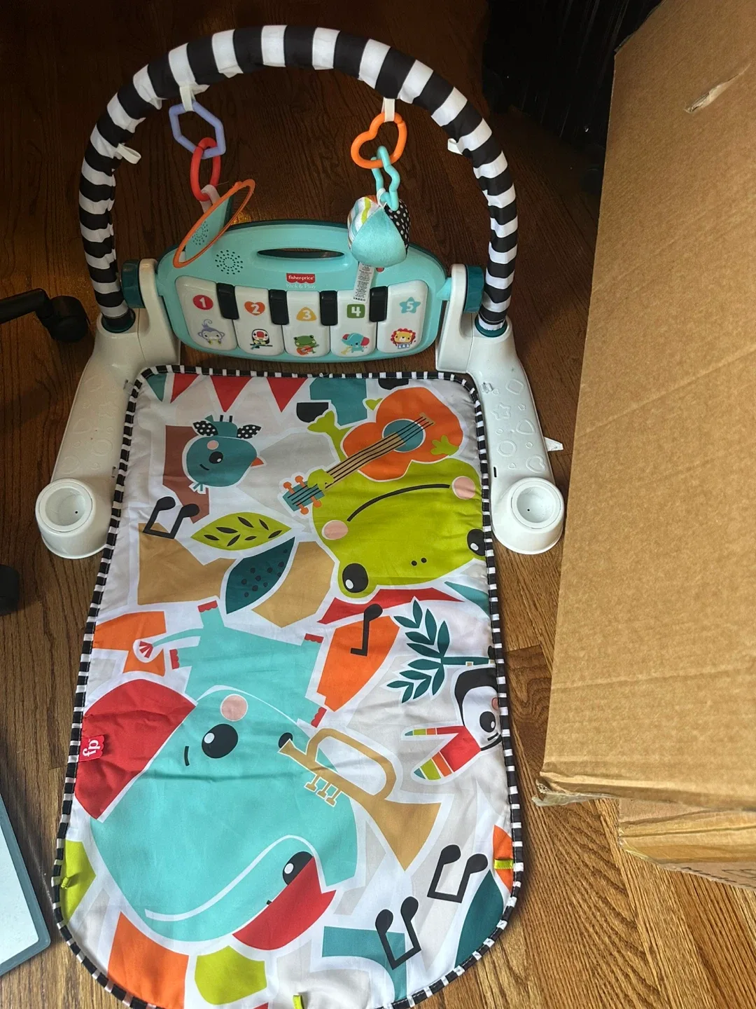 Flyboss bouncer  & fisher-price Play  Gym - photo 2