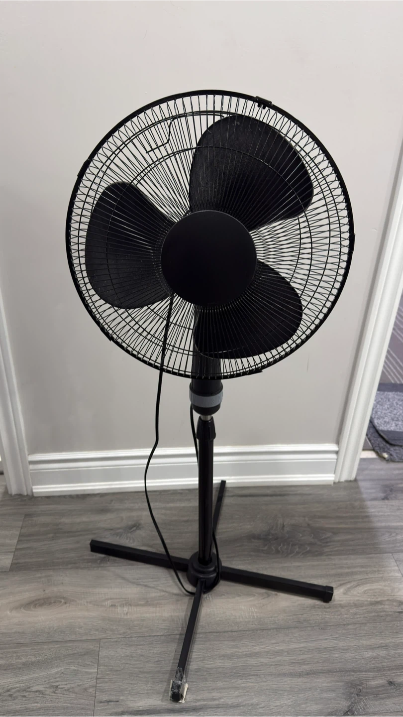 Black Pedestal Fan
