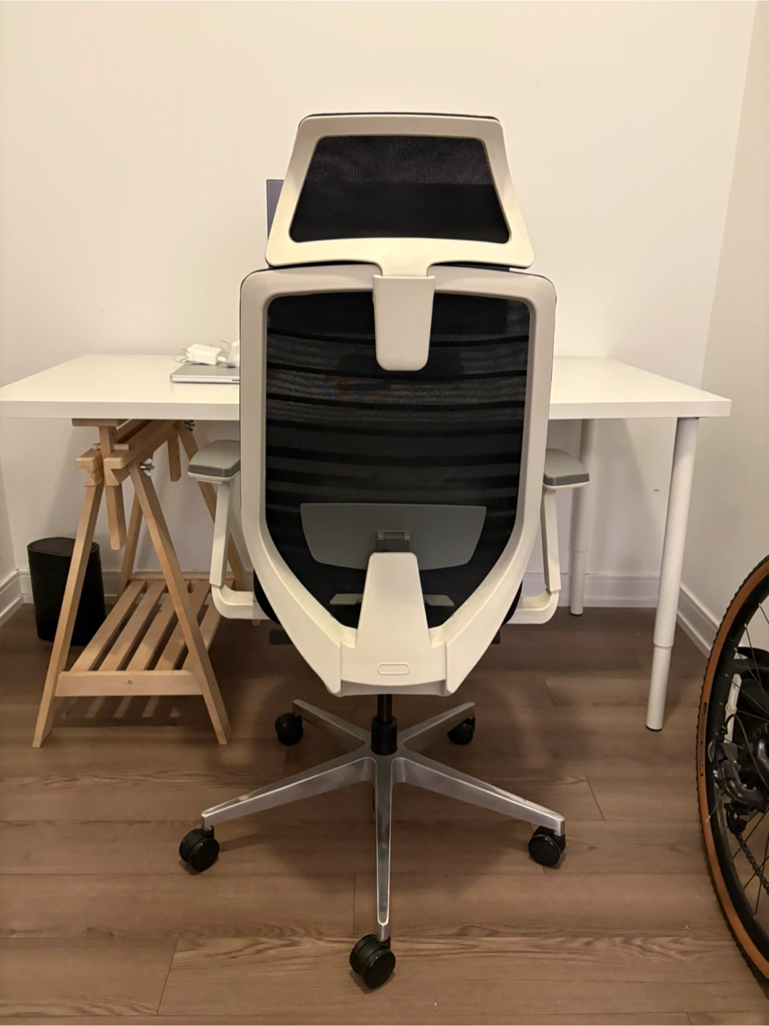 Branch ergonomic office chair