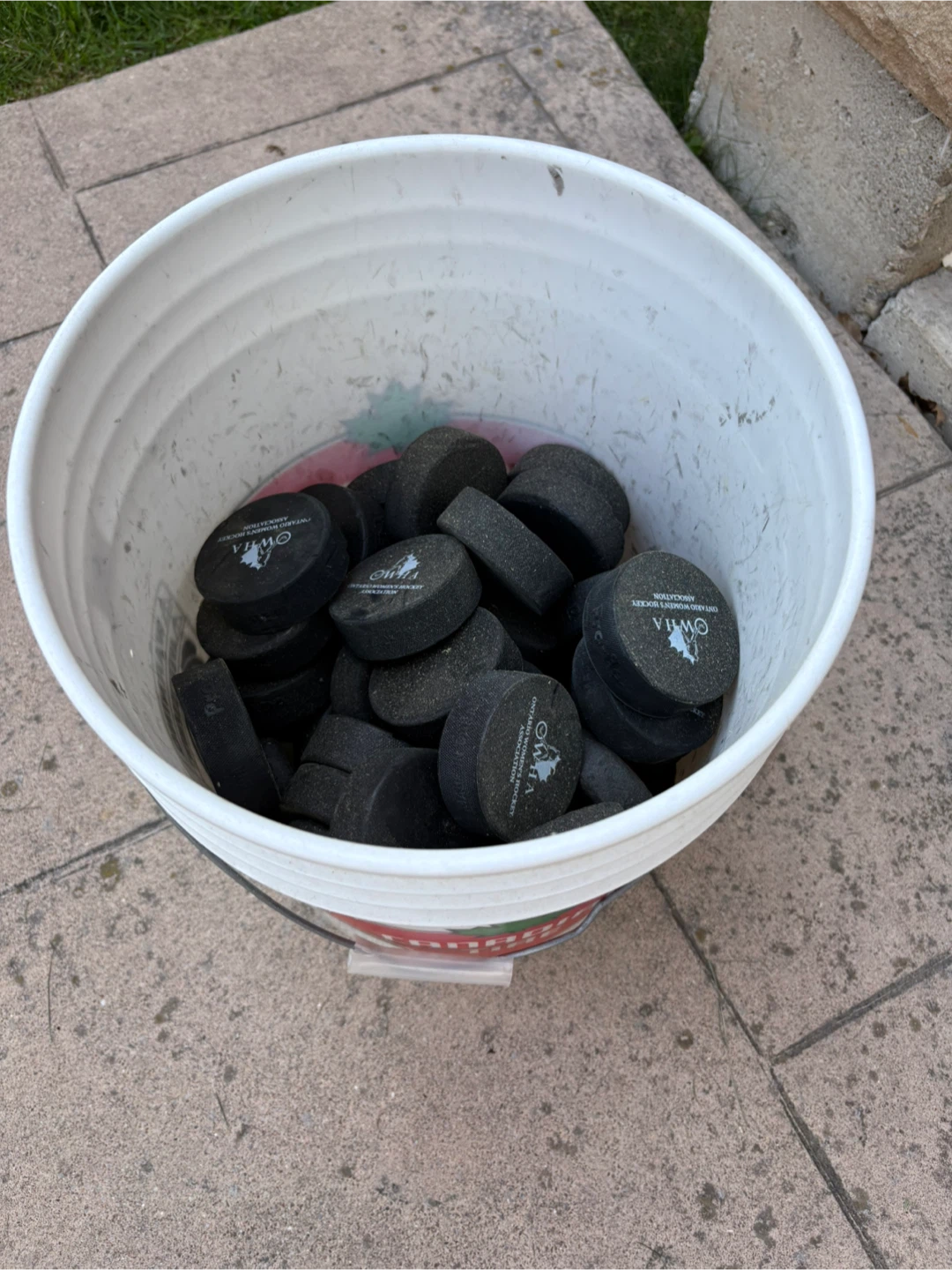Hockey Pucks