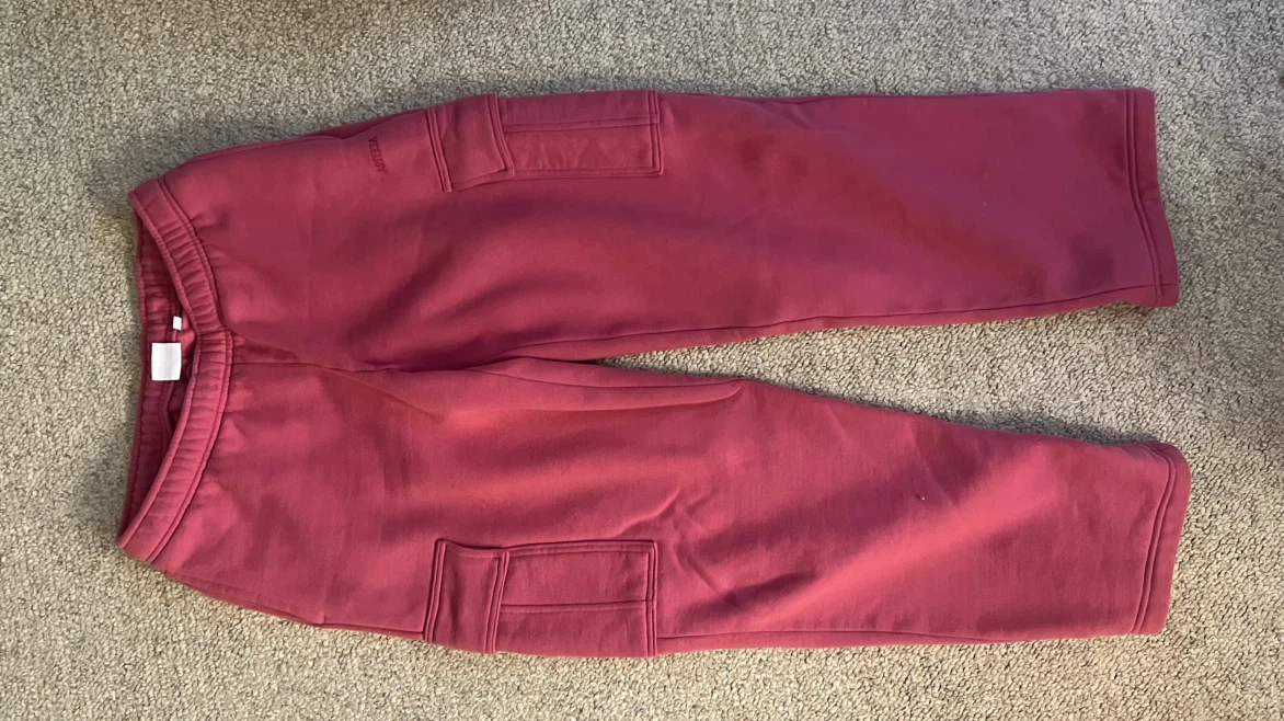 Aritzia Zip-Up Hoodie and Joggers Set - photo 3