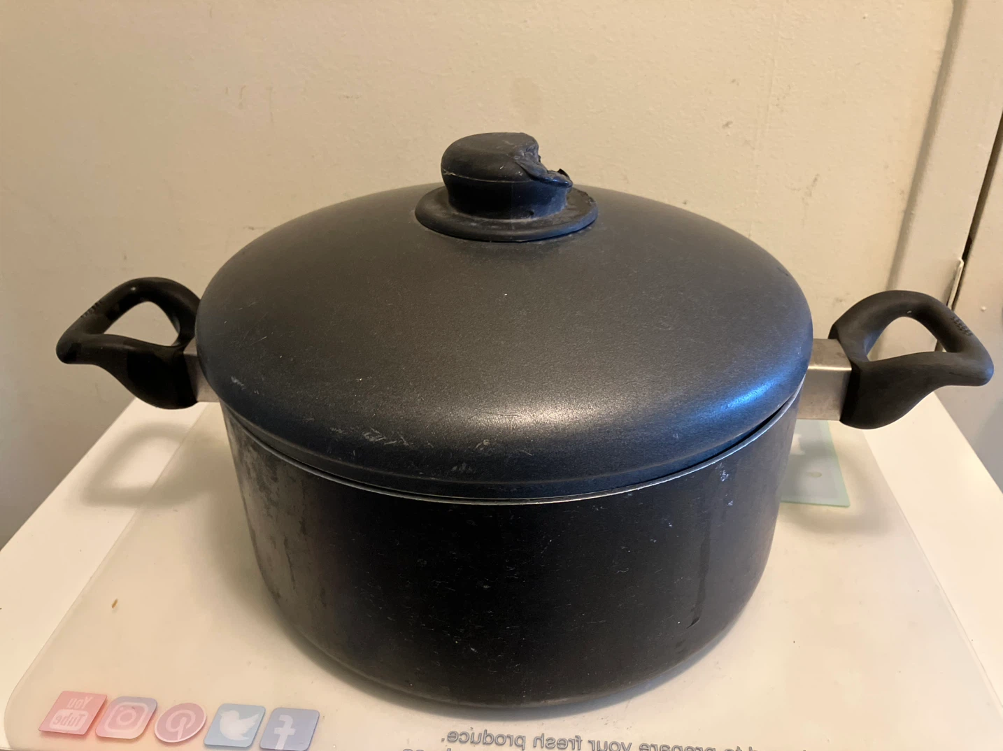 Black Stock Pot with Lid-9.5” Diameter