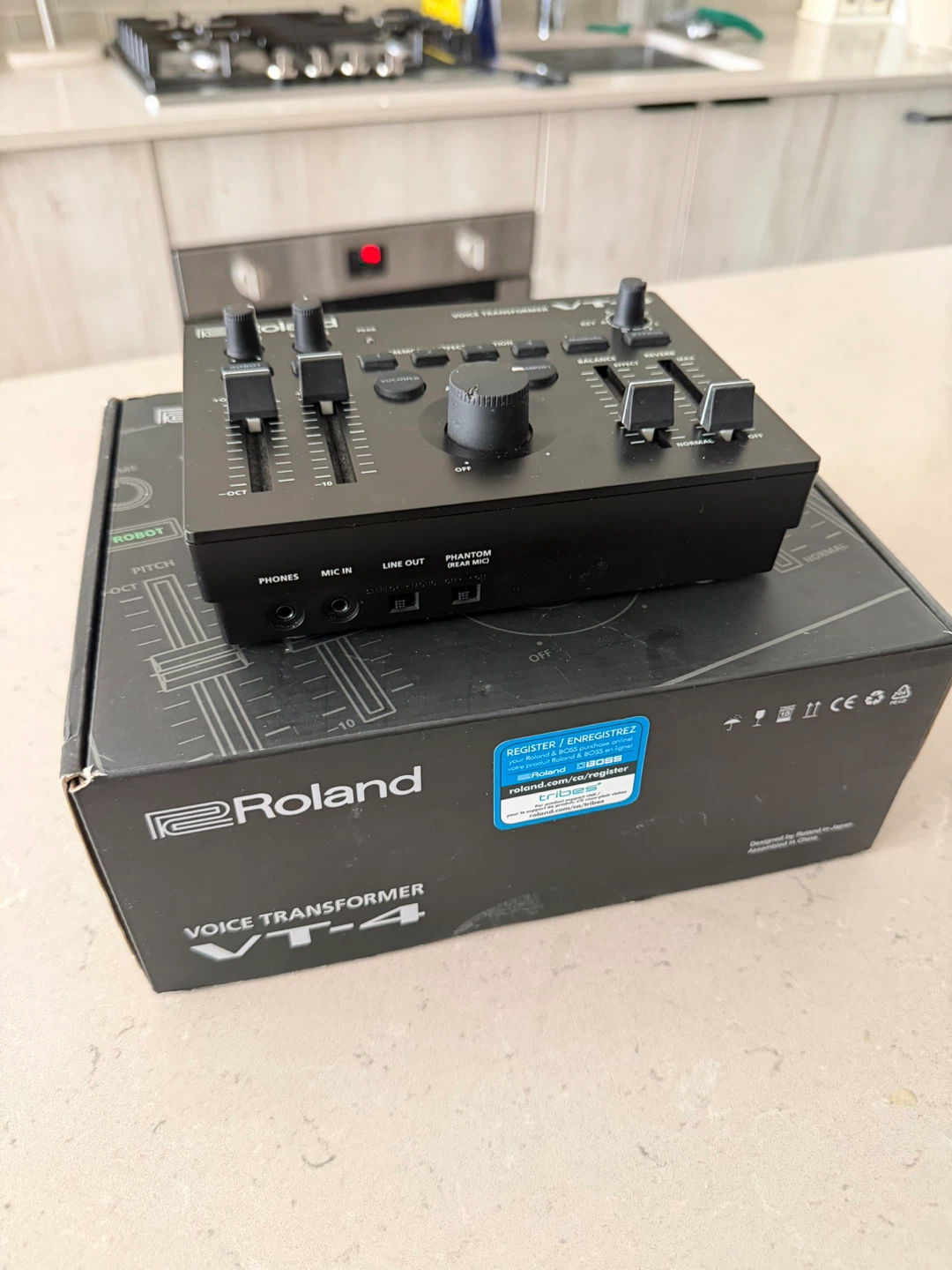 Roland VT-4 Voice Transformer