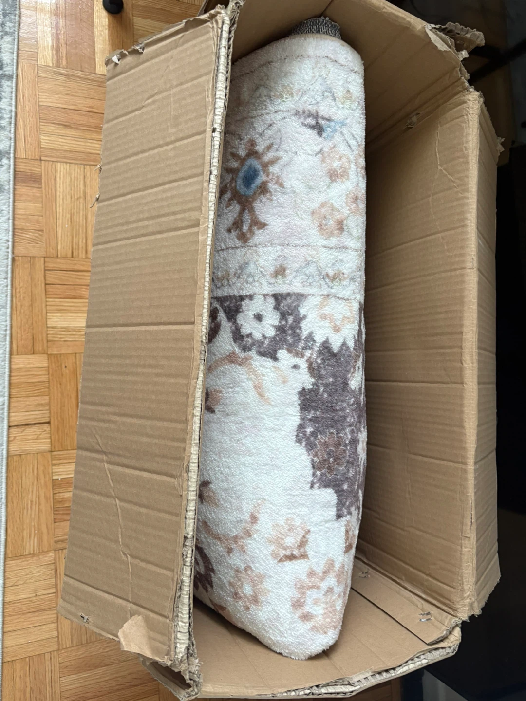 6*8Area Rug with Traditional Design - photo 4