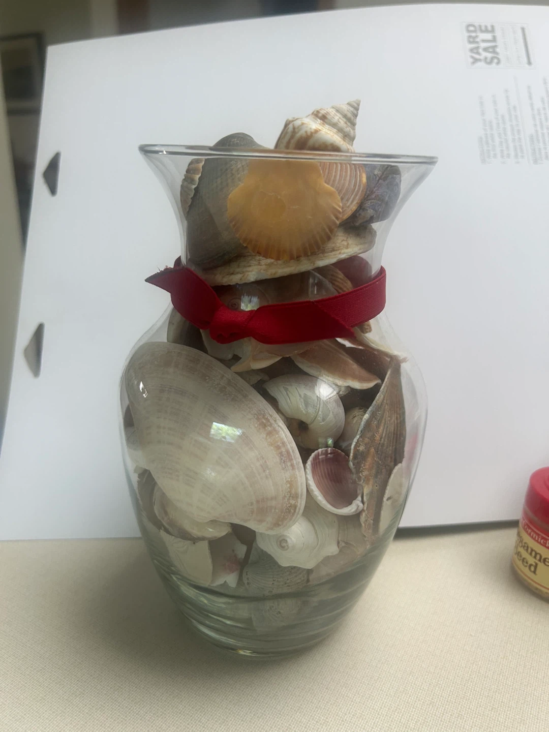 Glass Vase with Assorted Seashells and Red Ribbon - photo 3