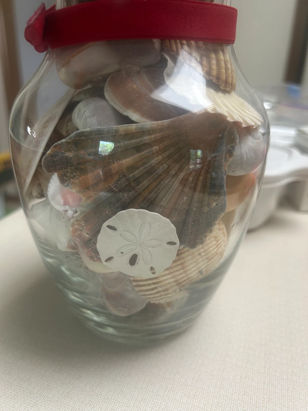 Glass Vase with Assorted Seashells and Red Ribbon - photo 4