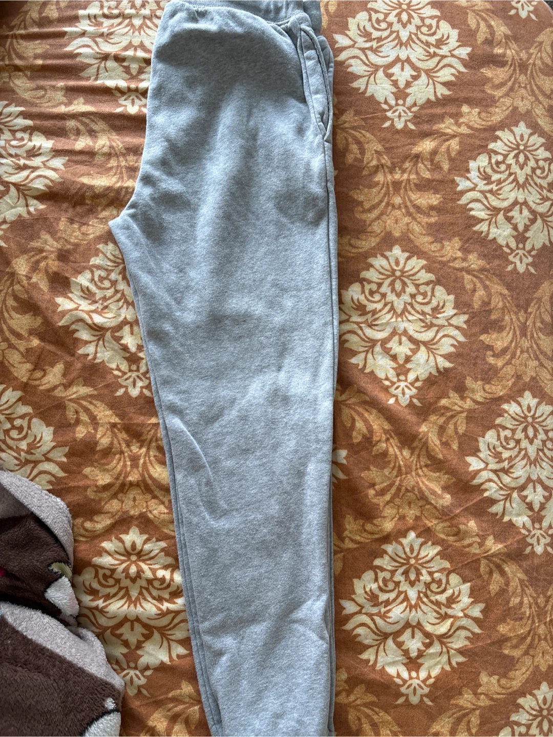 Joggers grey colored