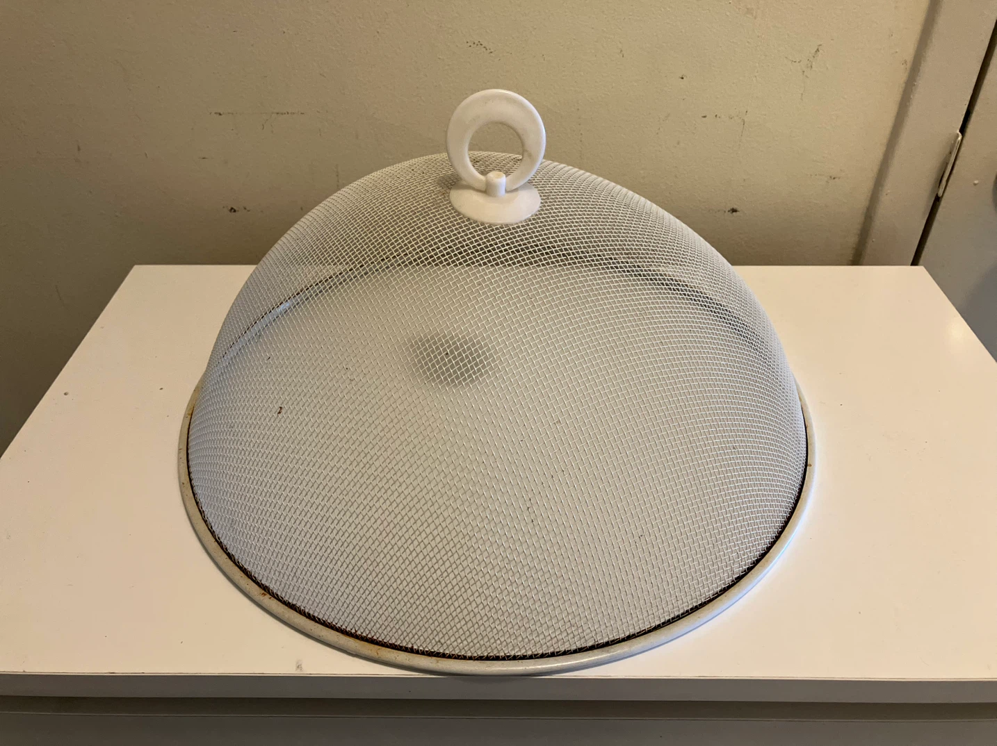 White Mesh Food Cover-12” Diameter