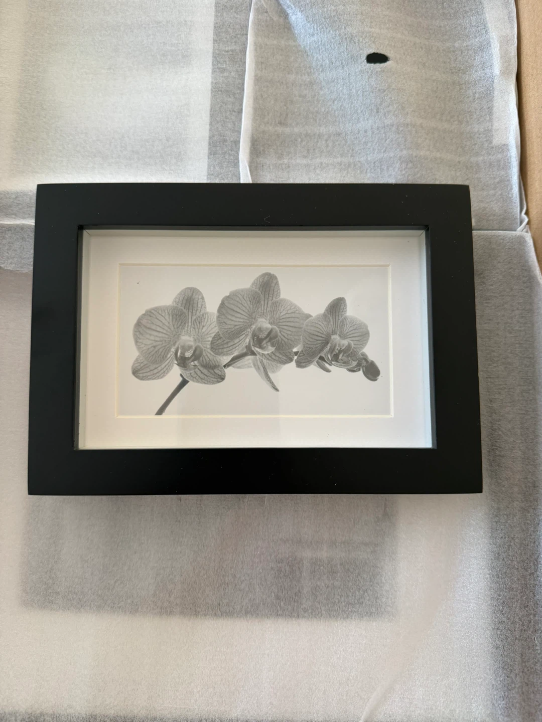 Old Town 6pc Shadow Box Gallery Frames Set (5 of 6) - New in Box - photo 2