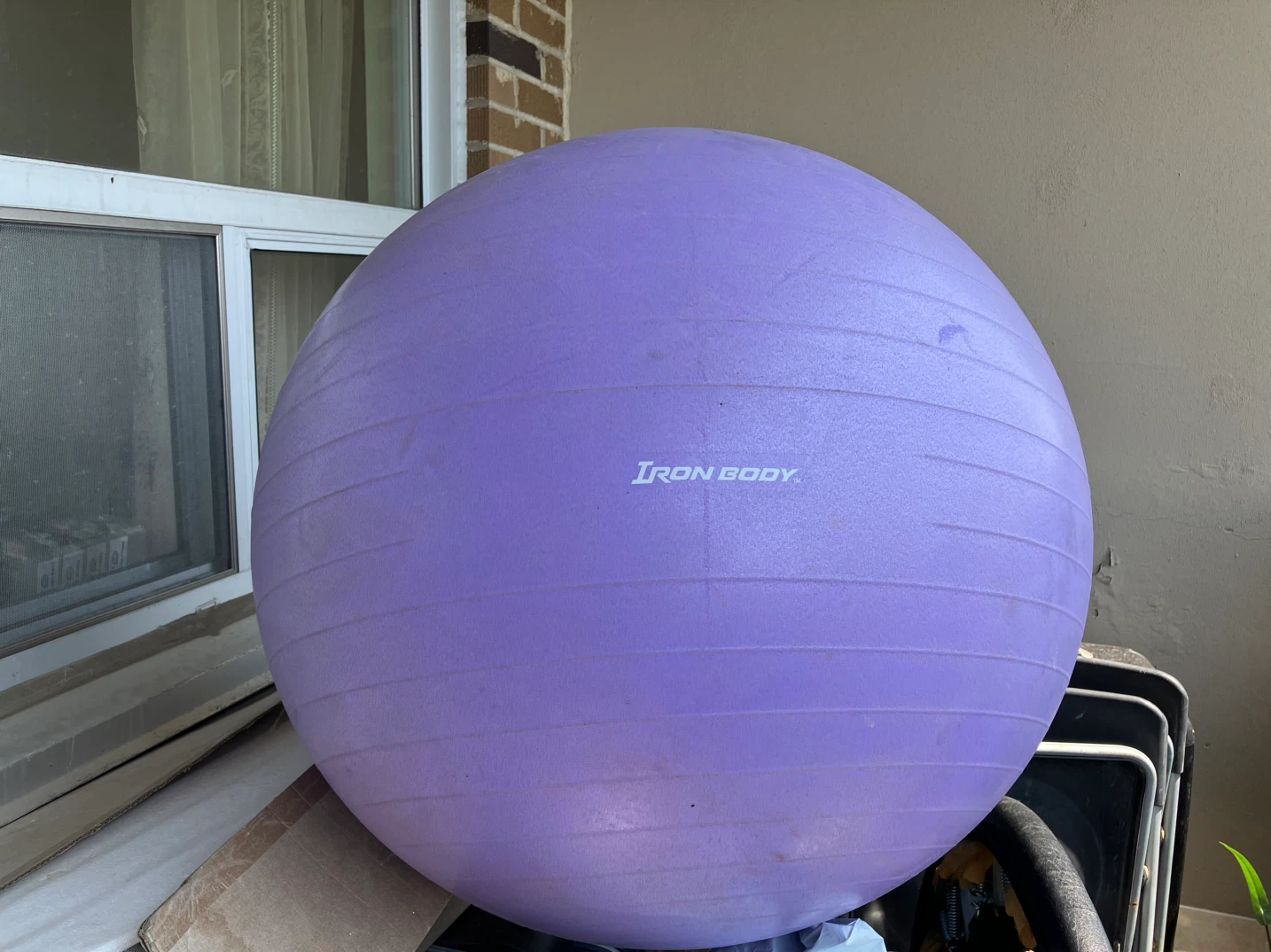 Iron Body Exercise Ball - Purple